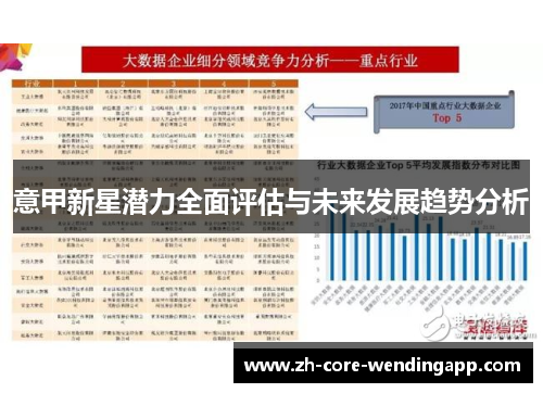 意甲新星潜力全面评估与未来发展趋势分析 意甲新星潜力全面评估与未来发展趋势分析