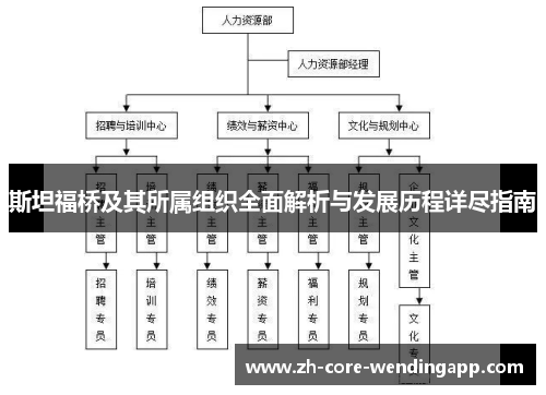 斯坦福桥及其所属组织全面解析与发展历程详尽指南