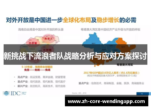 新挑战下流浪者队战略分析与应对方案探讨 新挑战下流浪者队战略分析与应对方案探讨