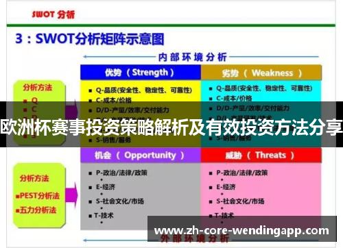 欧洲杯赛事投资策略解析及有效投资方法分享