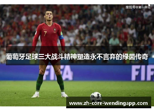 葡萄牙足球三大战斗精神塑造永不言弃的绿茵传奇