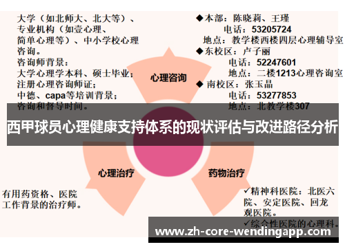 西甲球员心理健康支持体系的现状评估与改进路径分析