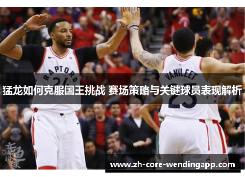 猛龙如何克服国王挑战 赛场策略与关键球员表现解析