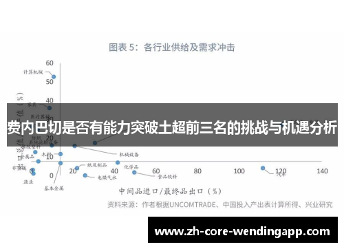 费内巴切是否有能力突破土超前三名的挑战与机遇分析