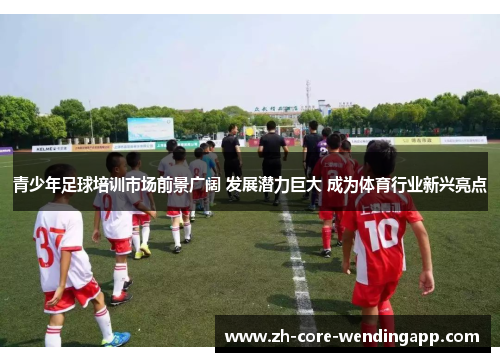 青少年足球培训市场前景广阔 发展潜力巨大 成为体育行业新兴亮点