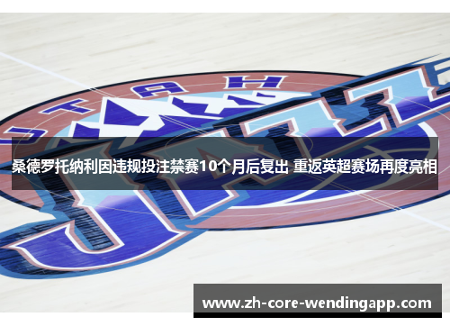 桑德罗托纳利因违规投注禁赛10个月后复出 重返英超赛场再度亮相
